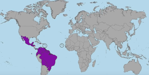 zika virus countries affected pictures